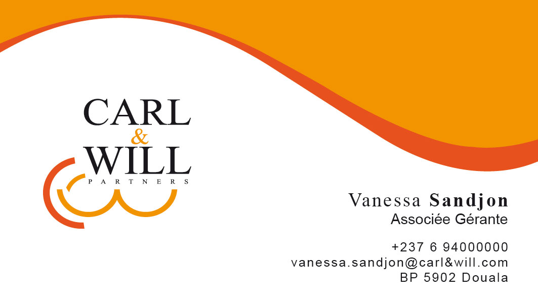 Carl & Will partners